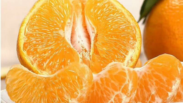 快递代发网，为您提供周到的发货服务