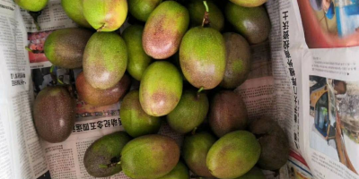 如何选择靠谱的快递代发平台?不容错过的技巧!