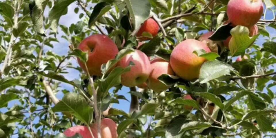 如何选择靠谱的快递代发平台?不容错过的技巧!