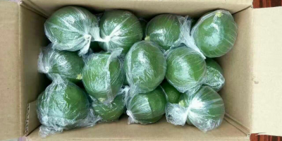 快递代发网,为您打造高效发货体验