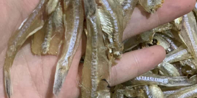 选择快递代发网，为您提供全方位的发货解决方案